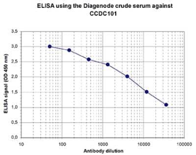 ELISA: CCDC101 Antibody [NBP3-18637] - Figure 1. Determination of the titer To determine the titer, an ELISA was performed using a serial dilution of the antibody directed against human CCDC101 . The plates were coated with the peptides used for immunization of the rabbit. By plotting the absorbance against the antibody dilution (Figure 1), the titer of the antibody was estimated to be 1:13,700.